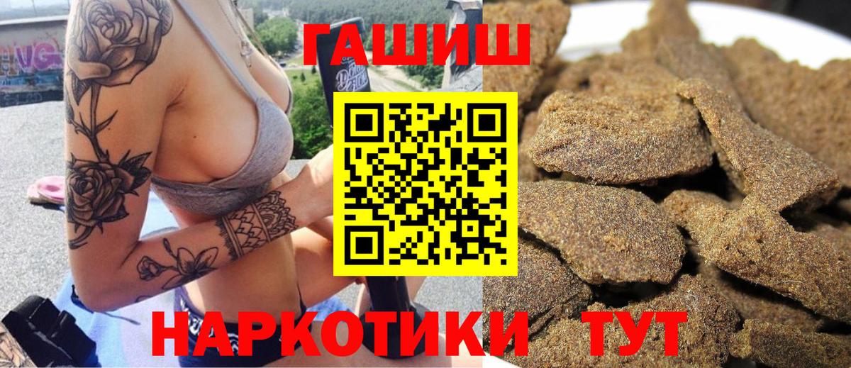 ГАШ Premium  ГАШ ice o lator  Вход с VPN  Сокол 